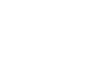 DeepSeek (Data e IA Local)